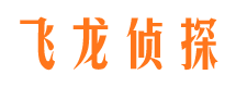 宜阳侦探公司